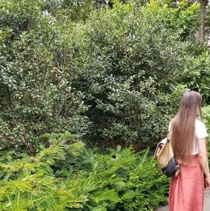 Meet your Posher, Rach.